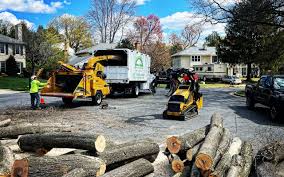 Best Storm Damage Tree Cleanup  in Spanish Fort, AL