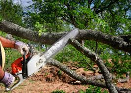 Best Tree Mulching  in Spanish Fort, AL