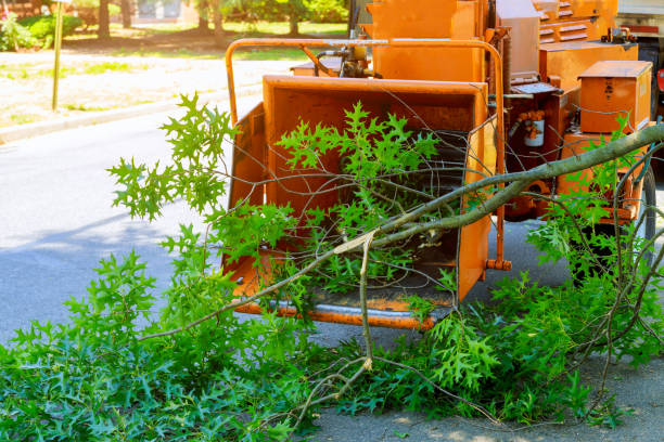 Lawn Pest Prevention in Spanish Fort, AL