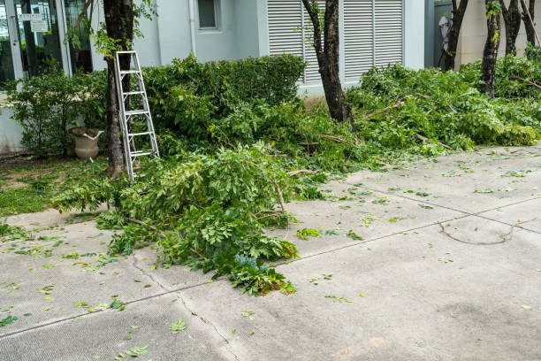 How Our Tree Care Process Works  in  Spanish Fort, AL