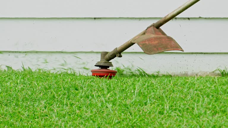 Best Organic Lawn Care Solutions  in Spanish Fort, AL