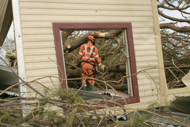 Best Tree Health Inspection  in Spanish Fort, AL