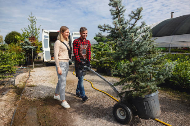 Best Lawn Drainage Solutions  in Spanish Fort, AL